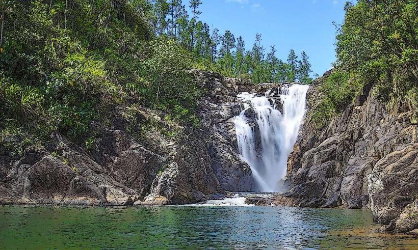 Mountain Pine Ridge Forest Reserve