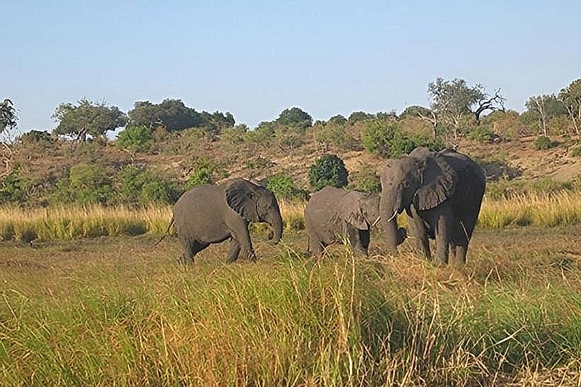 Parque Nacional do Cameia