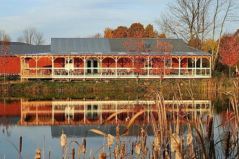 Lincoln Peak Vineyard