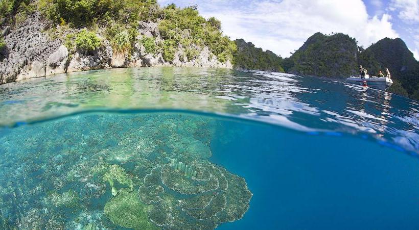 Bird's Head Peninsula