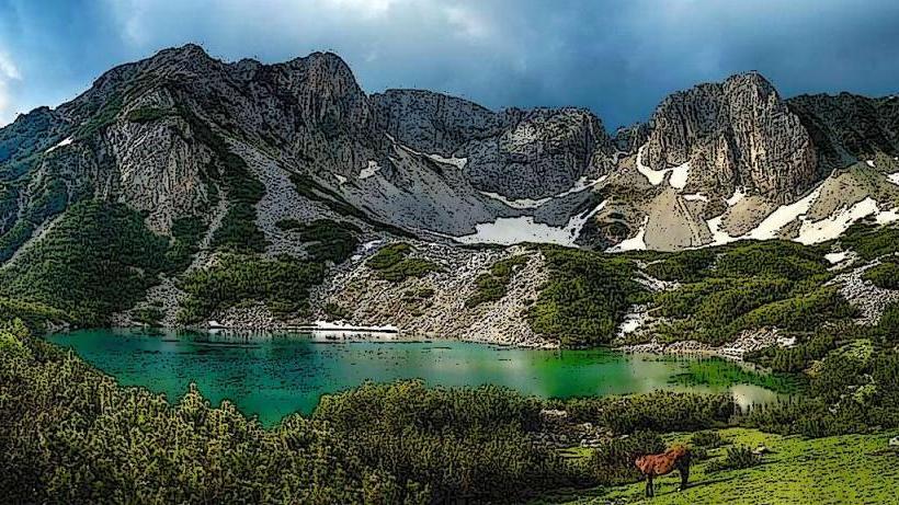 Pirin National Park