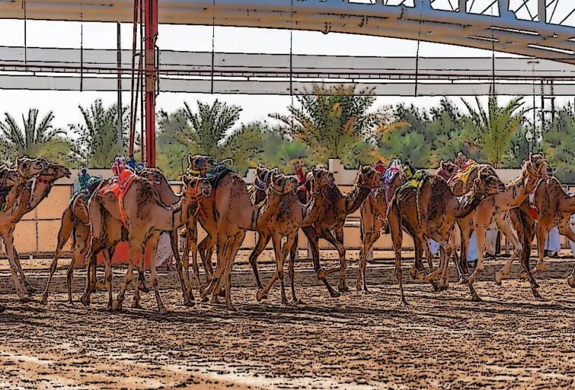 Al Labsa Camel Racing Track
