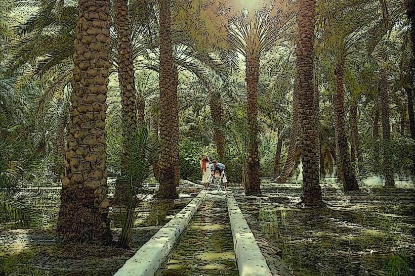 Al Ain Oasis