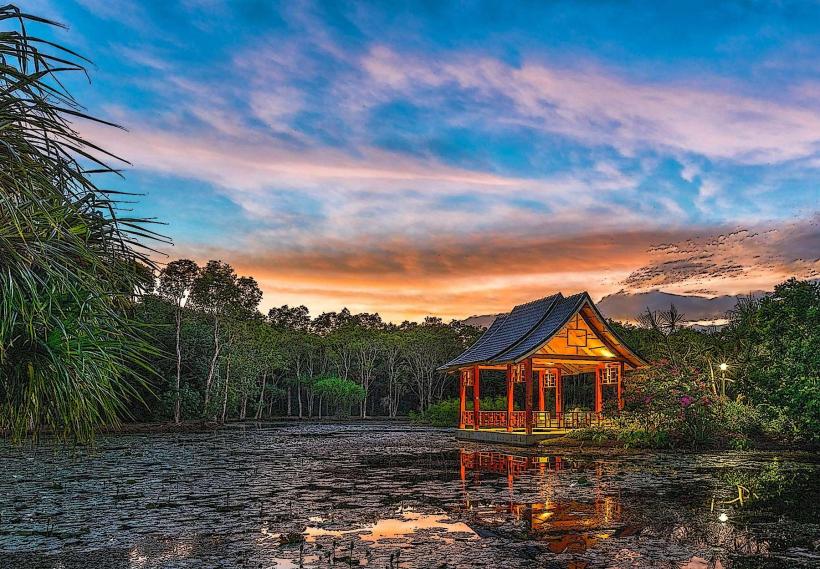 Cairns Botanic Gardens