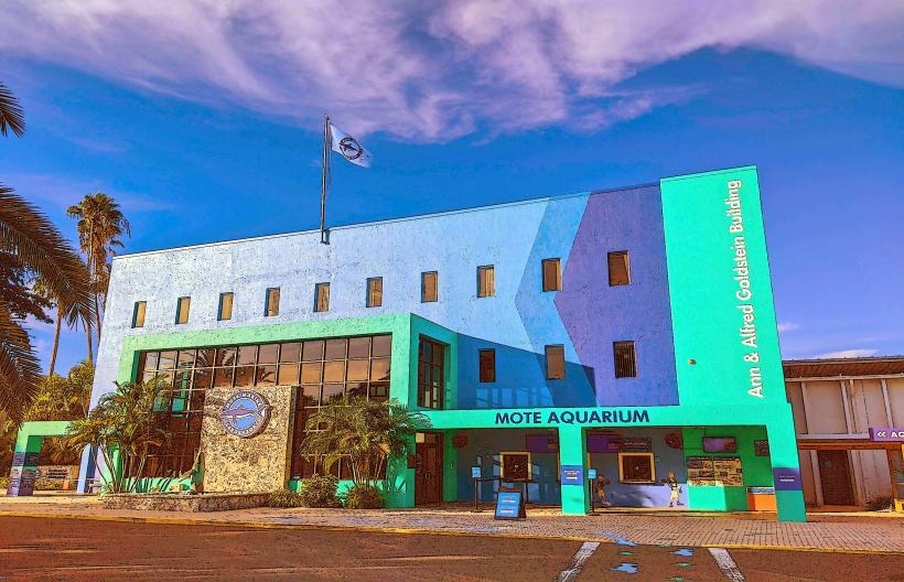 Mote Marine Laboratory & Aquarium