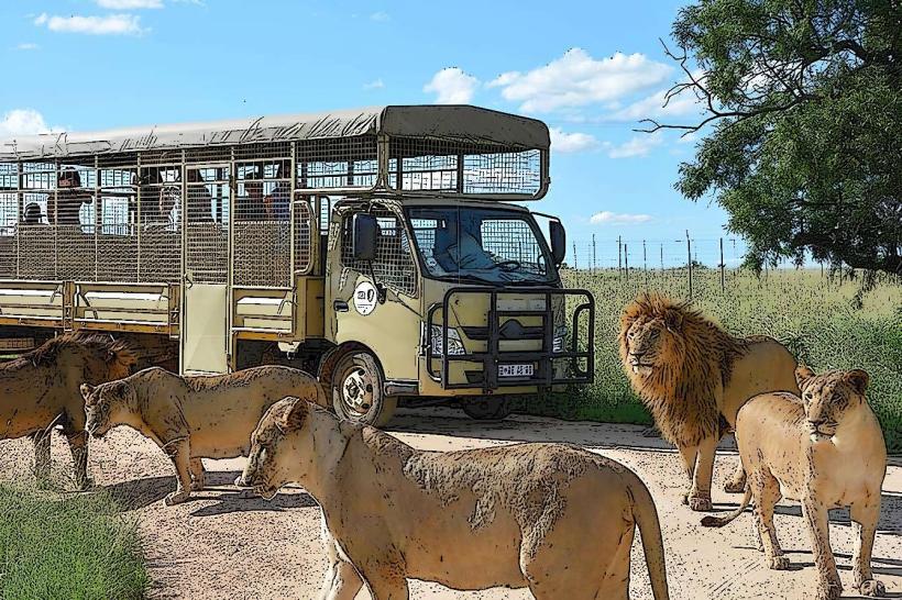 Lion Country Safari