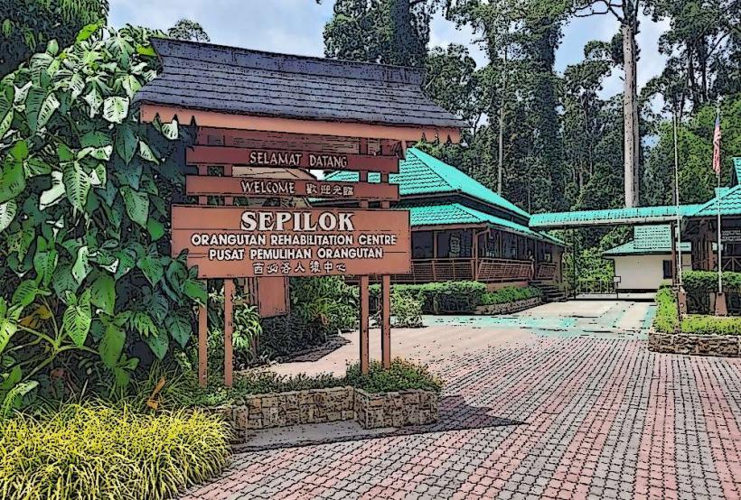 Sepilok Orangutan Rehabilitation Centre