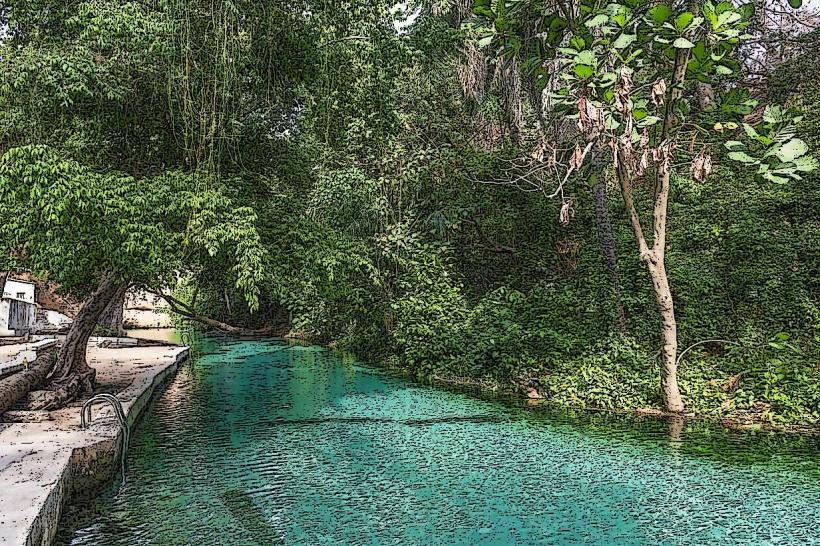 Yankari National Park