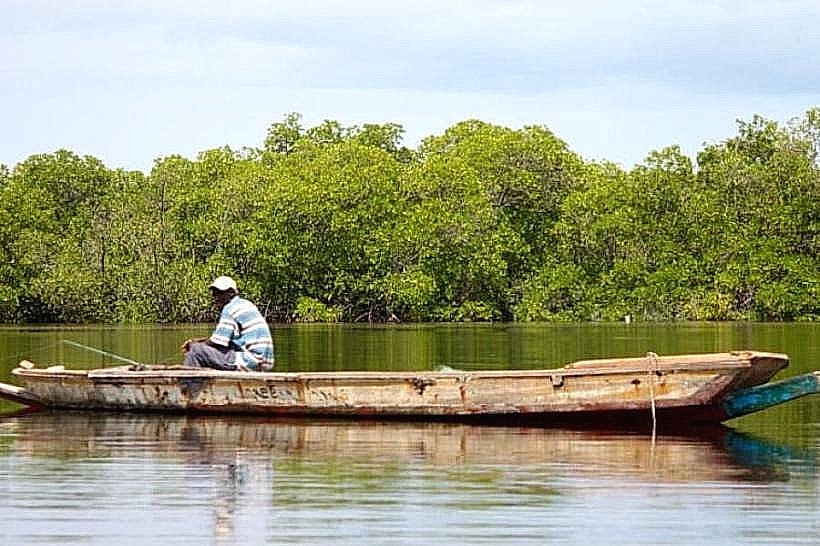Saloum River