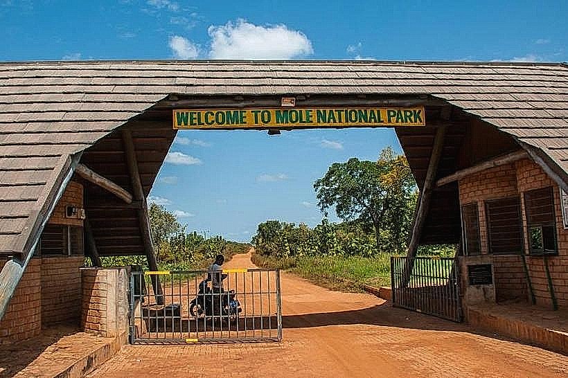 Mole National Park