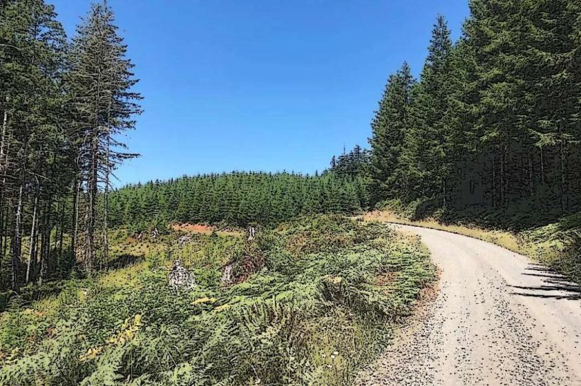 Cowlitz Riverwalk Trail