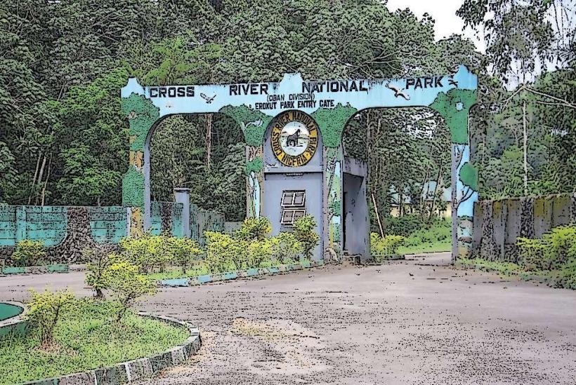 Cross River National Park