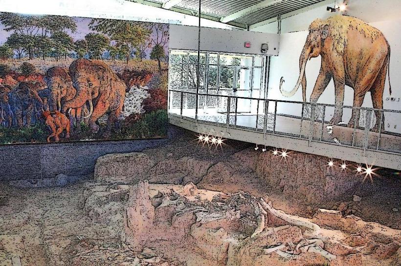 Waco Mammoth National Monument