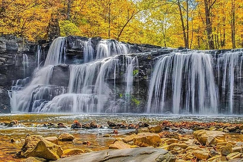 Camp Creek State Forest