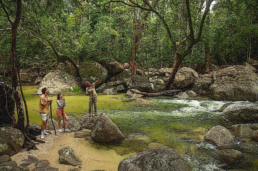 Mossman Gorge