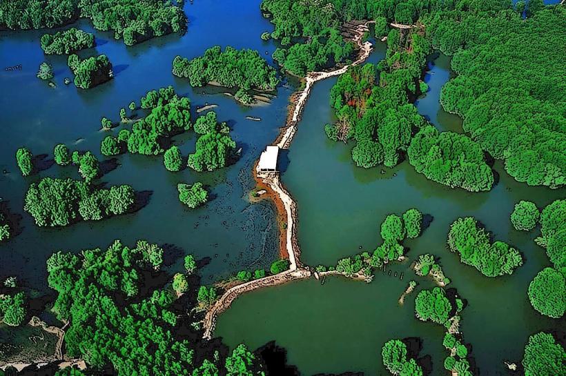 Can Gio Mangrove Forest