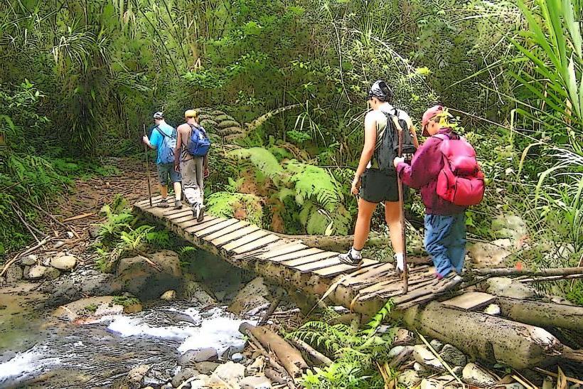 Pico Duarte Trekking