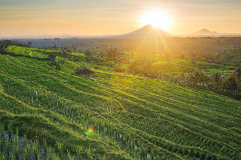 Jatiluwih Rice Terraces