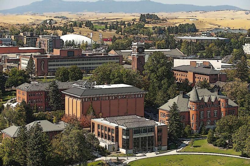 Washington State University Campus