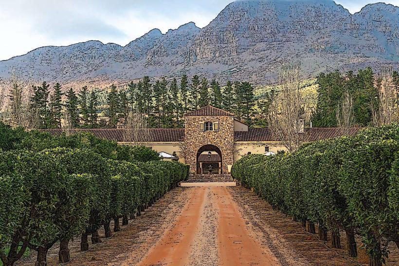 Waterford Wine Estate