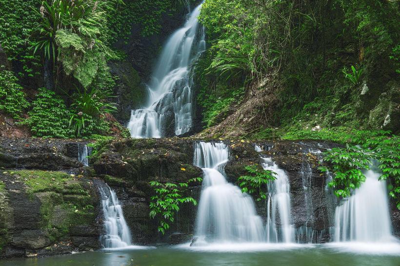 Lamington National Park