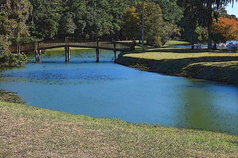 Sea Pines Forest Preserve