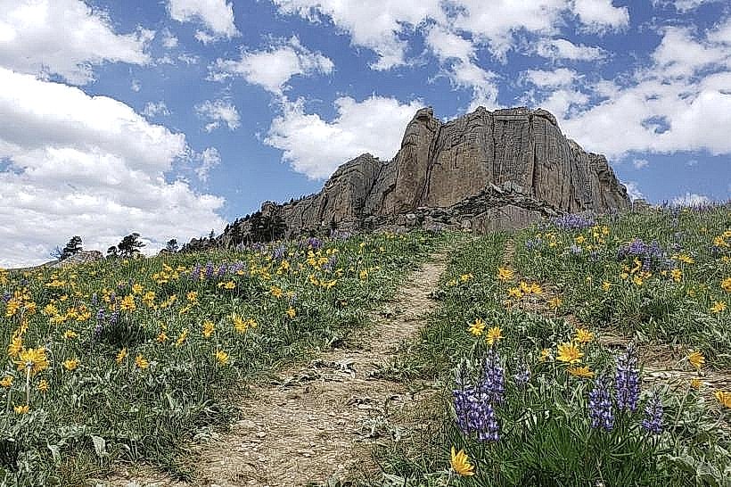 Steamboat Point Trail