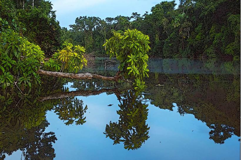 Bahuaja-Sonene National Park