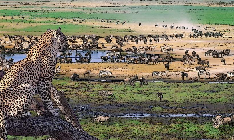 Ngorongoro Conservation Area