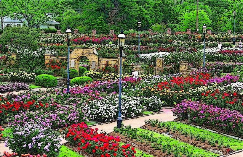 Tyler Rose Garden
