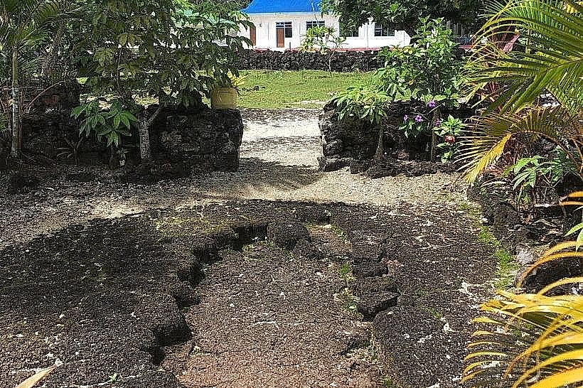 Moso’s Footprint