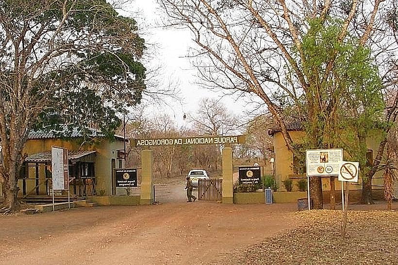 Gorongosa National Park