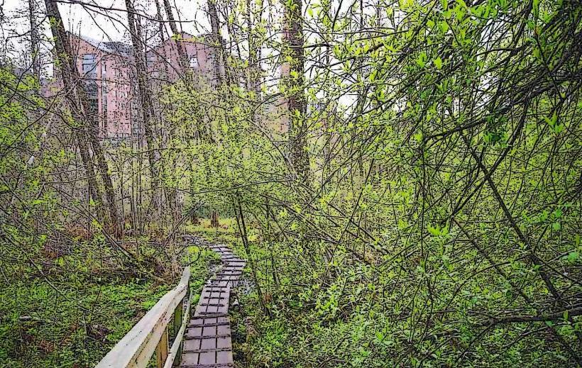 Tourujoen Nature Reserve