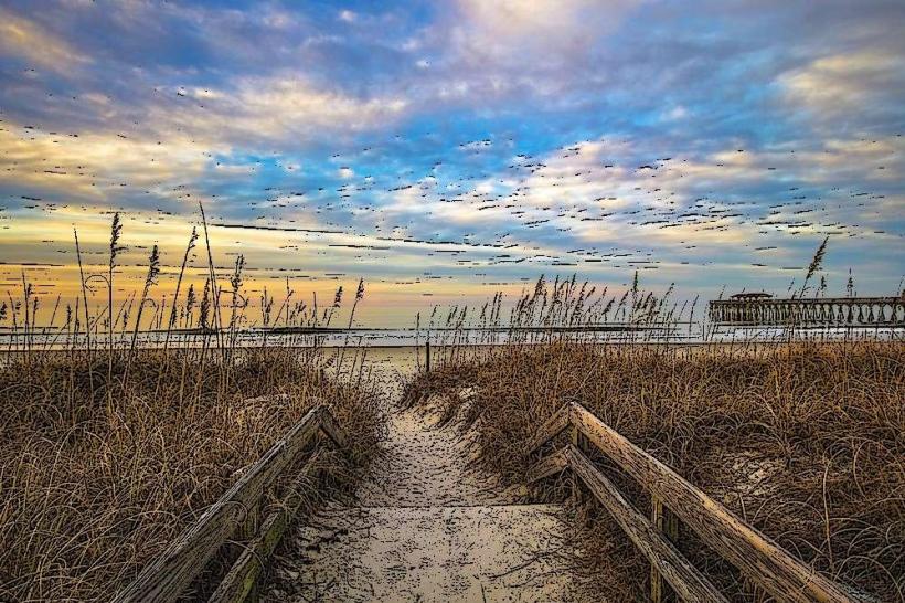 Myrtle Beach State Park