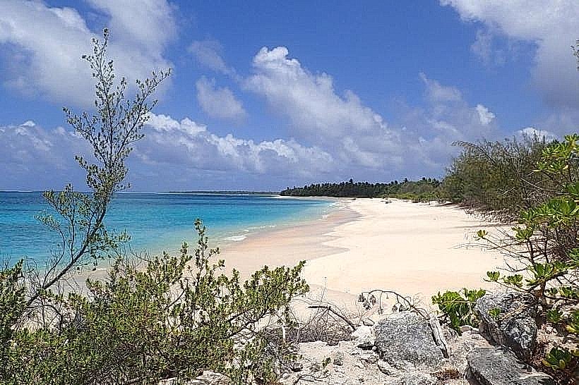 Bikini Island Shoreline