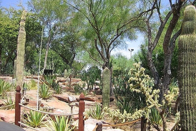 Ethel M Chocolate Factory & Cactus Garden