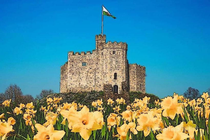 Cardiff Castle