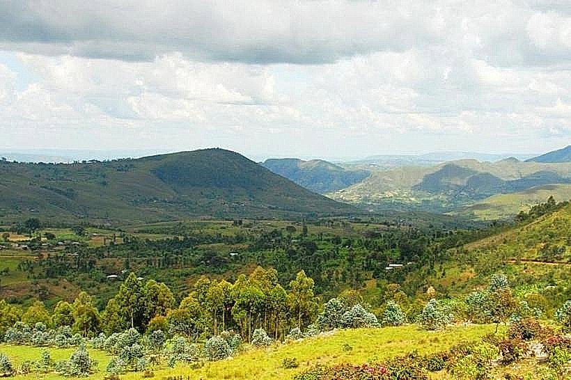 Bukirasazi Forest Reserve