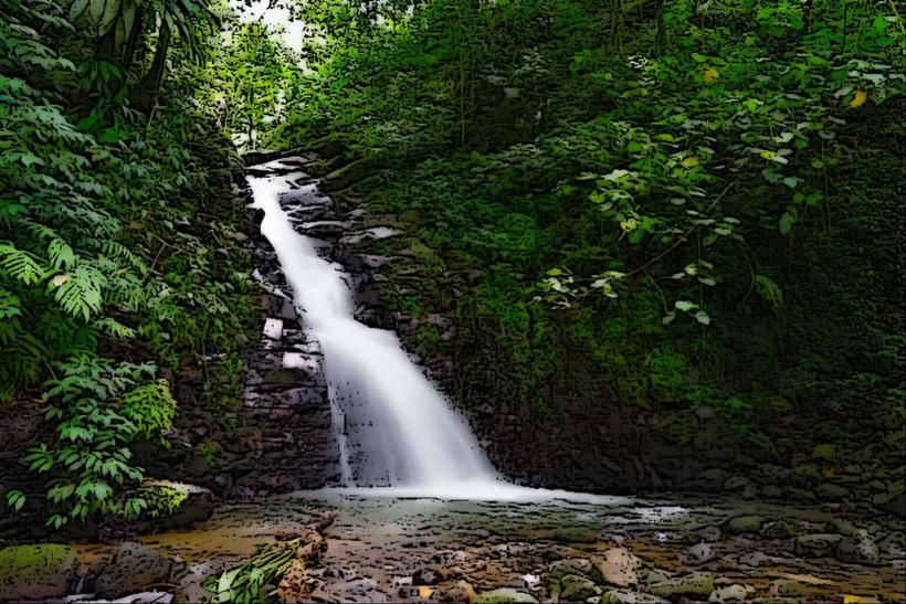 Enbas Saut Waterfall Trail