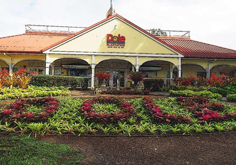 Dole Pineapple Plantation