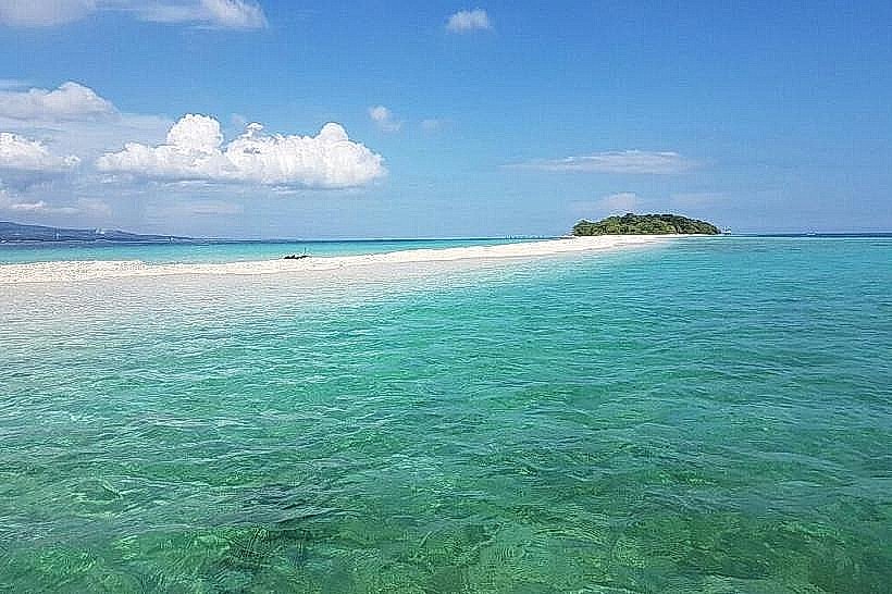 Great Santa Cruz Island