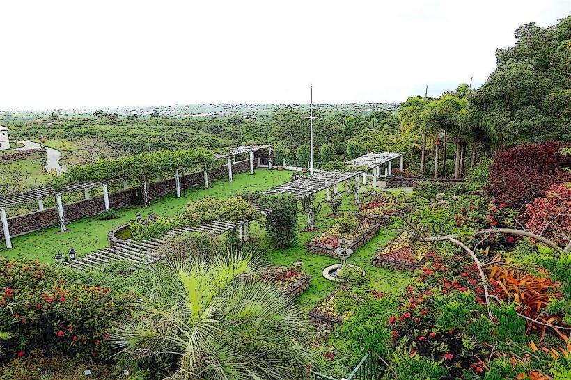 Nevis Botanical Garden