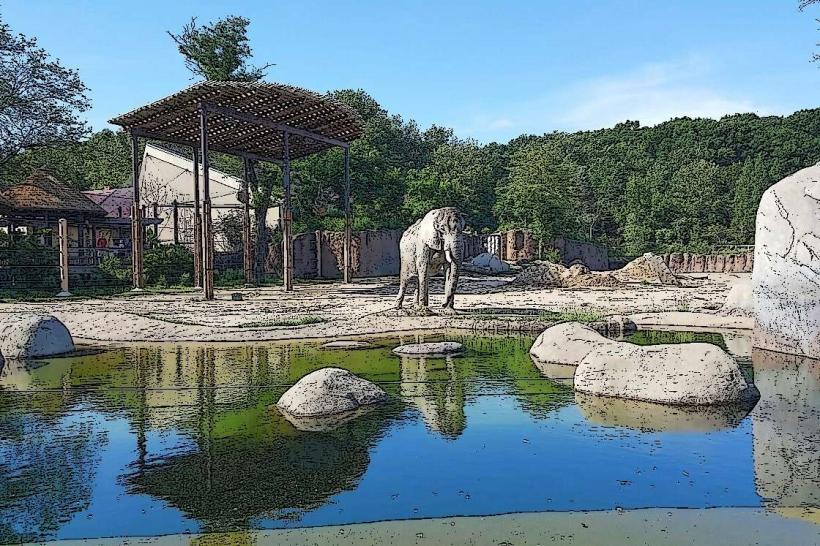 Cleveland Metroparks Zoo