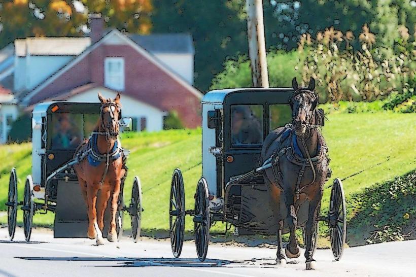 Amish Country Tours