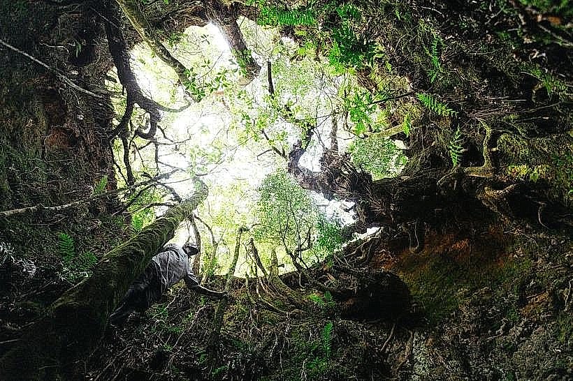 Chingwe's Hole
