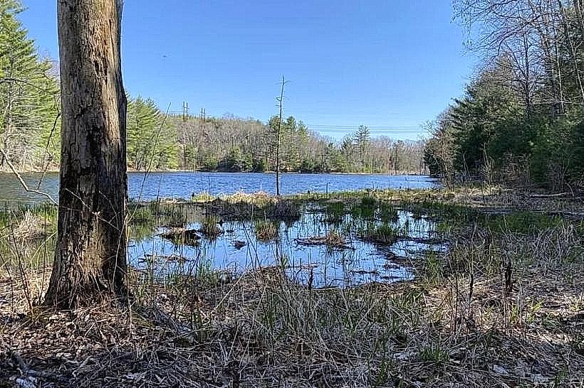 Maxwell Mays Wildlife Refuge