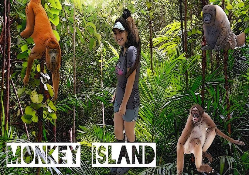 Monkey Island