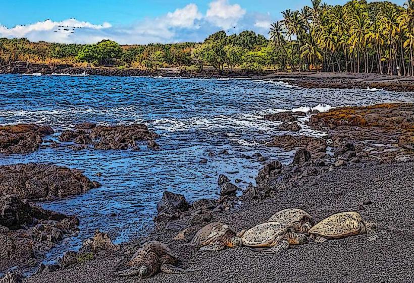 Punalu'u Black Sand Beach