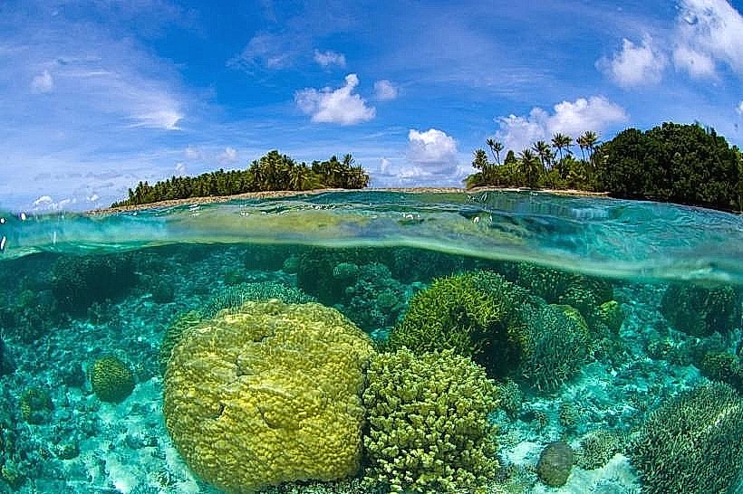 Reef Pass Snorkeling Spots