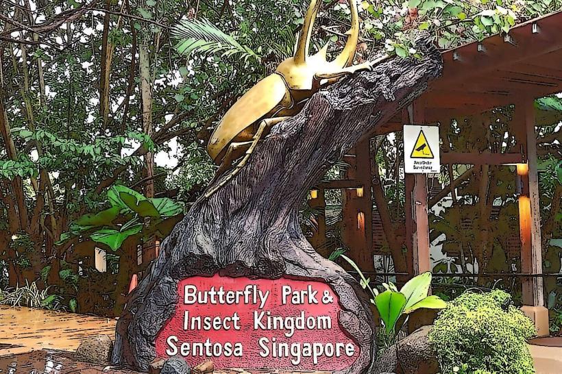 Butterfly Park & Insect Kingdom